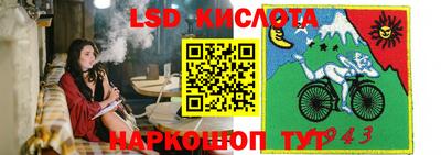 стафф Гусев