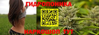 PSILOCYBIN Гусиноозёрск