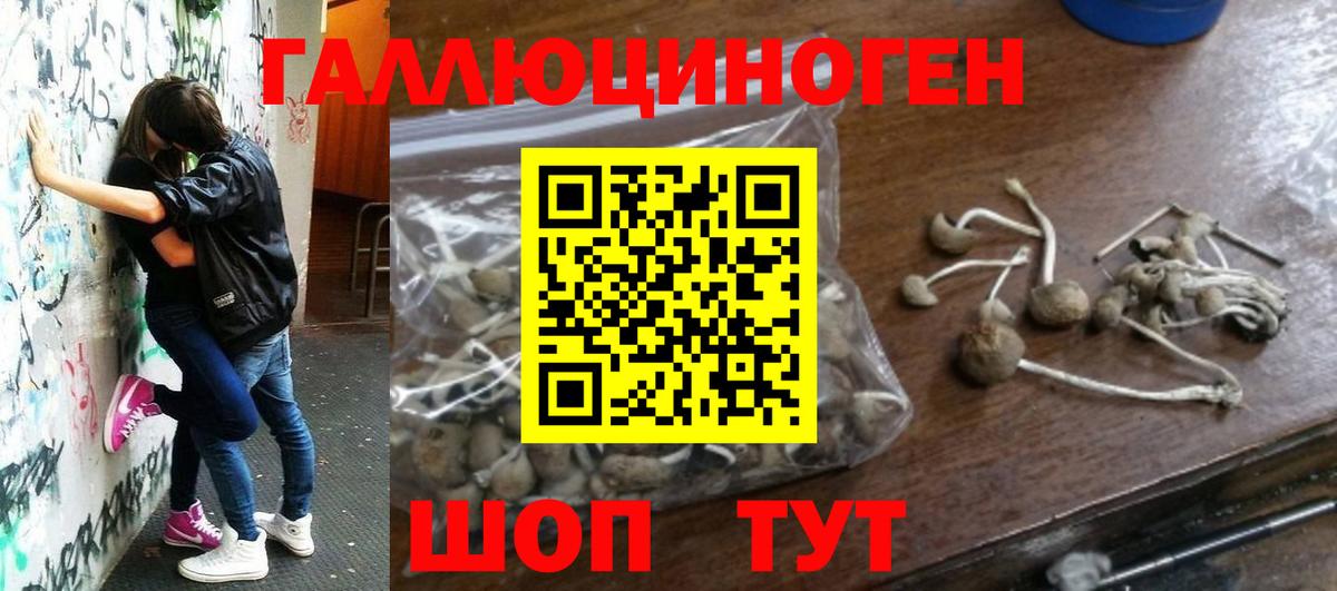 Псилоцибиновые грибы мухоморы  Псилоцибиновые грибы MAGIC MUSHROOMS  Куйбышев  Вход с VPN 